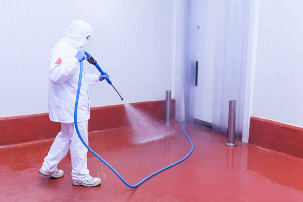Best Brick and Stone Cleaning in Westby, WI